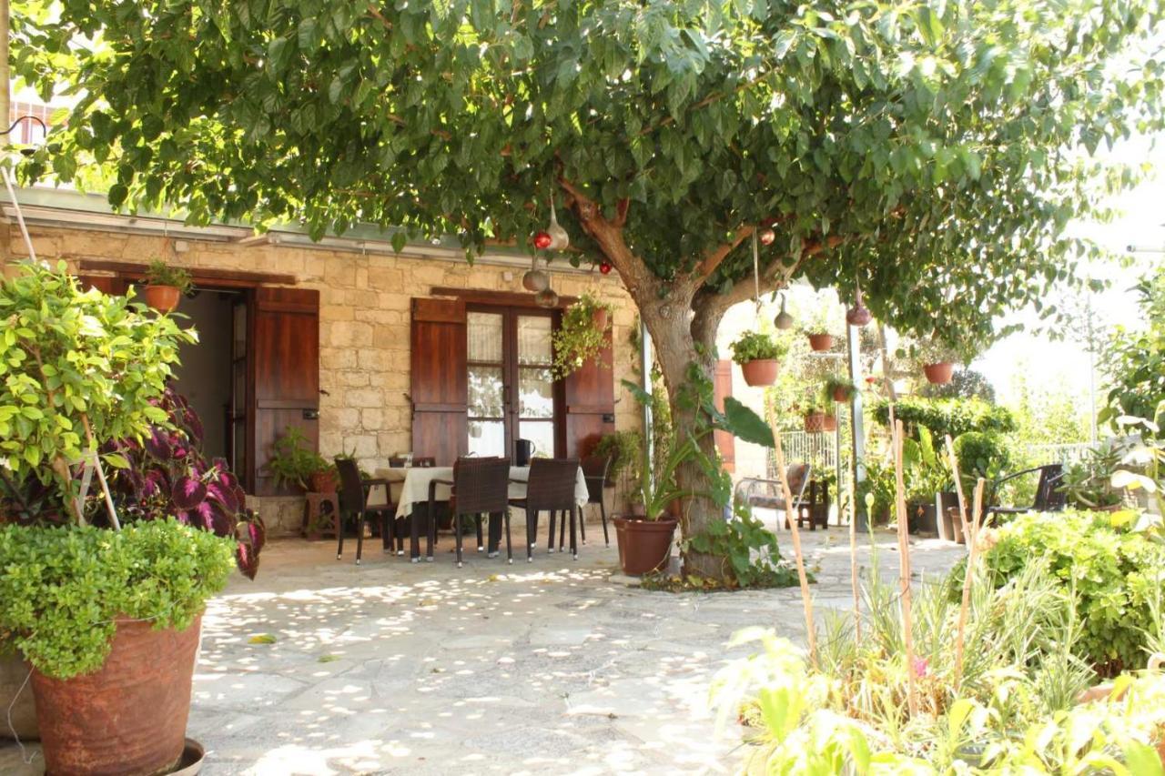Georgia'S House Bed and Breakfast Fyti Buitenkant foto